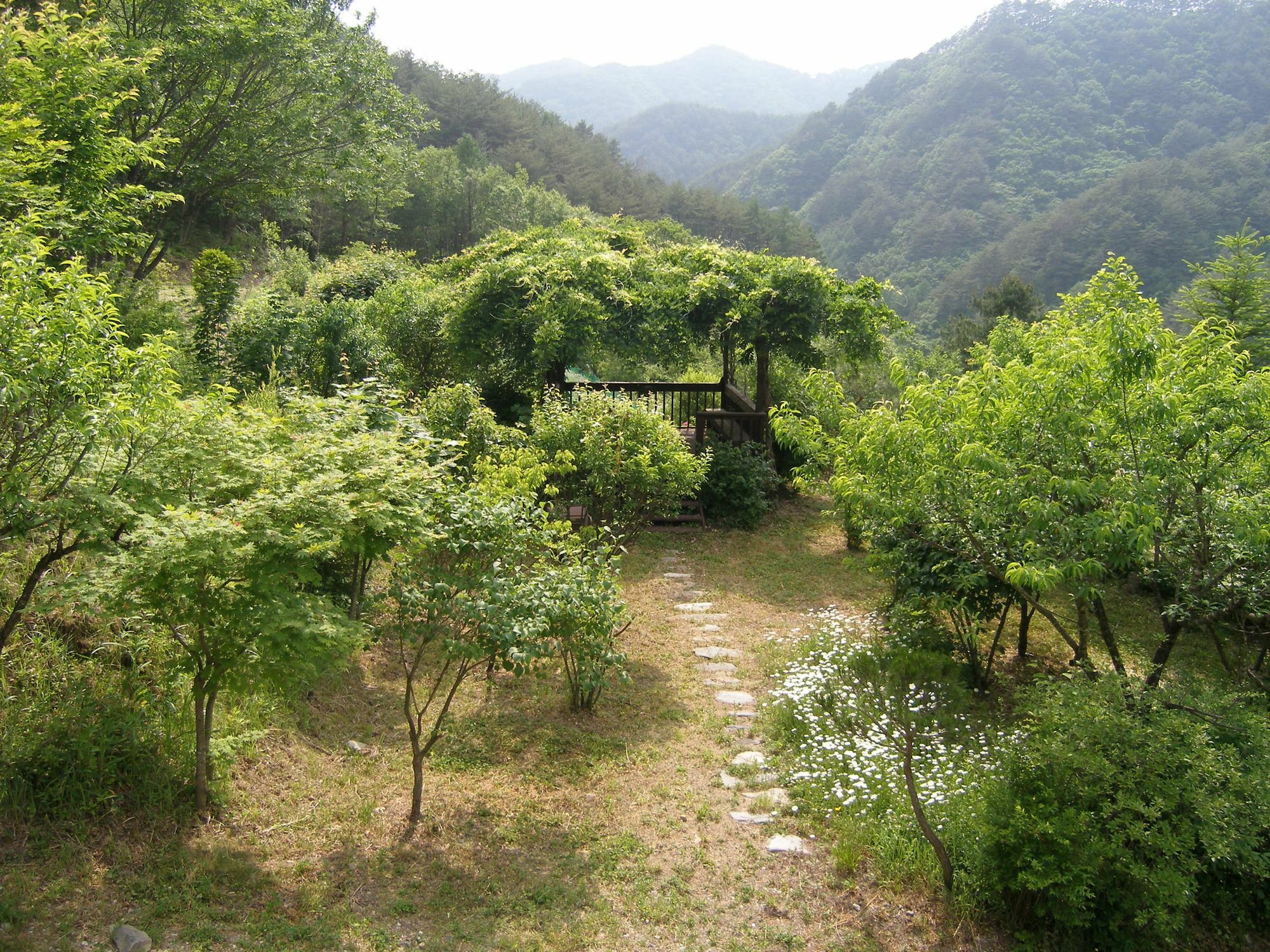 Fairy Tale Pension Pchjongčchang Exteriér fotografie
